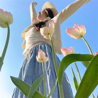 小宇宙3：自然奇观